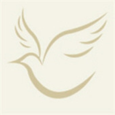 Obituary of Rita Virzi
