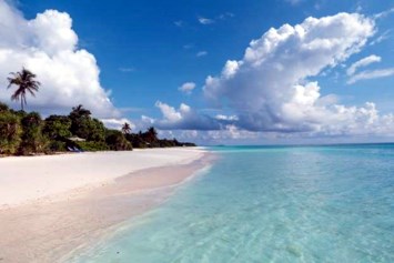 Obituary of Daphne A. McKenzie