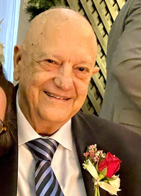 Obituary of Dr. Nicholas C. Di Domenico