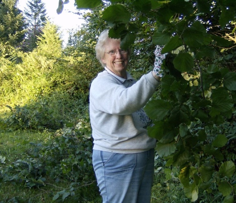 Obituary of Jean D. Hayden