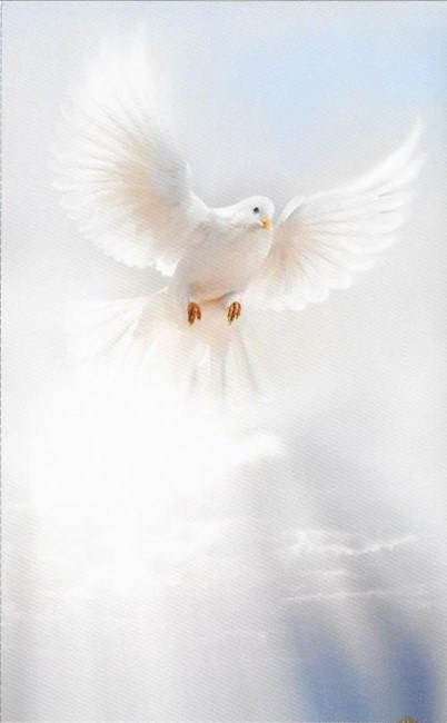 Obituary of Peter Manuel Perez