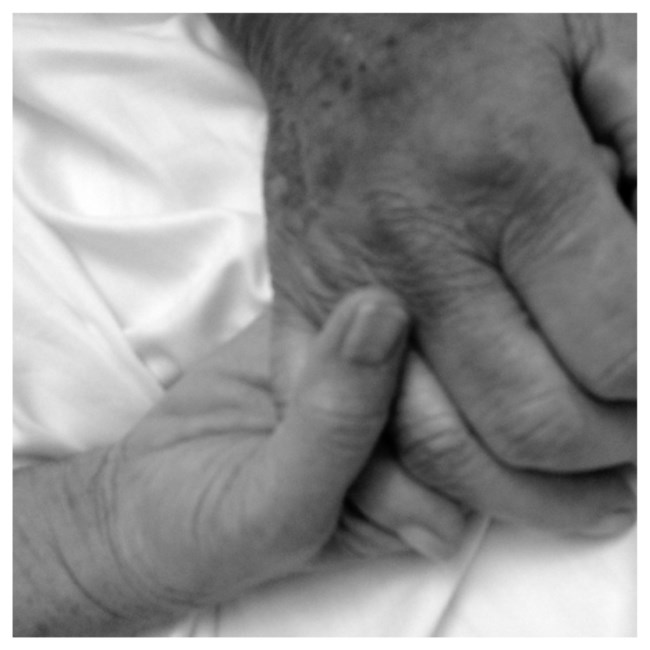 Obituary of Wendell Carroll Hampton