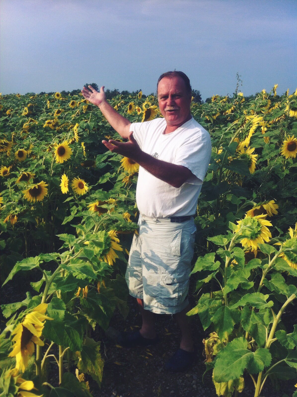 Obituary of Roy Alexander Collings