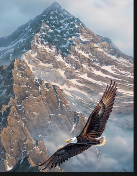 Obituary of Alan Paul Trzyna