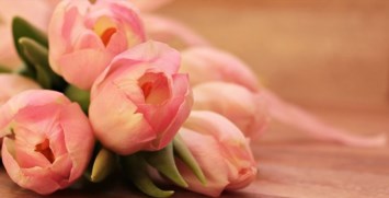 Obituary of Judy Joy Burmeister