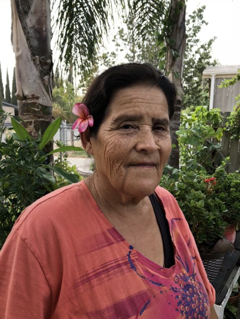 Obituario de Maria Dolores Lopez Chavez