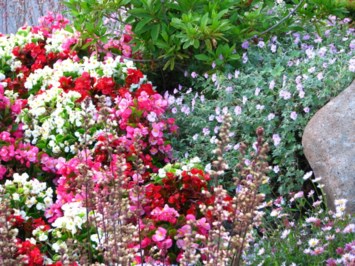 Obituary of Janet Cliffe Hendrix