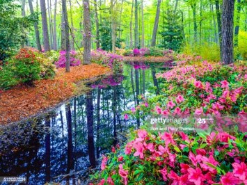 Obituary of Daphne D Hugh