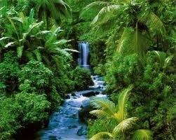 Obituary of Clarence R. Thompson