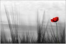 Obituary of Charles Albert Shrubsole