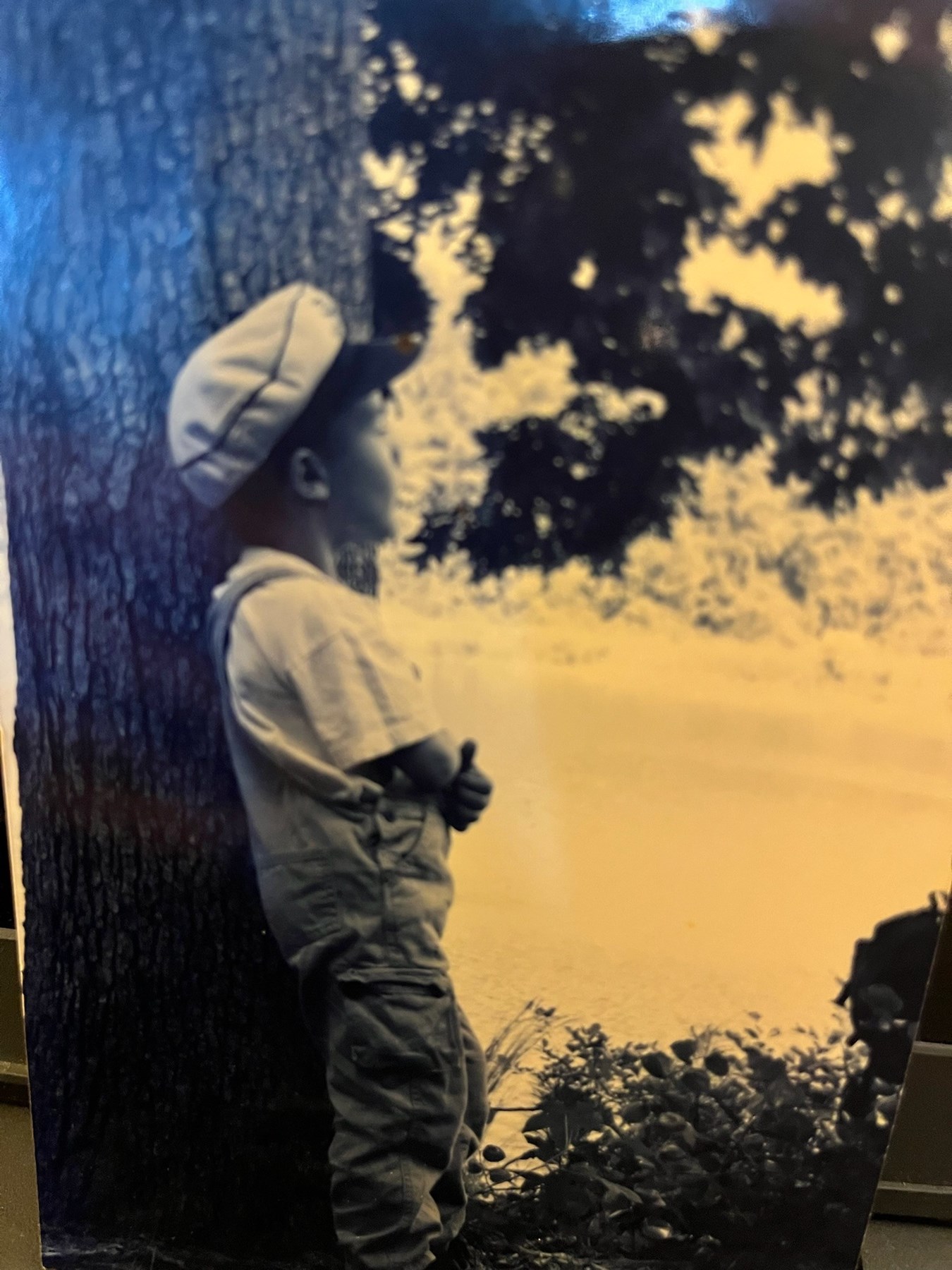 Obituary of Daniel Stephen Zika