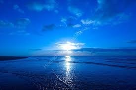 Obituary of Salvatore Rosa