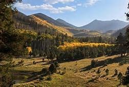 Obituary of Louise Reburn McDowell