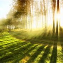 Obituary of Robert Edward Carr