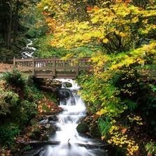 Obituario de Wilbur R. Wood