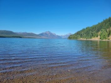 Obituary of William Edward Ellis