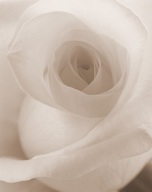 Obituary of Dorothy Raulet