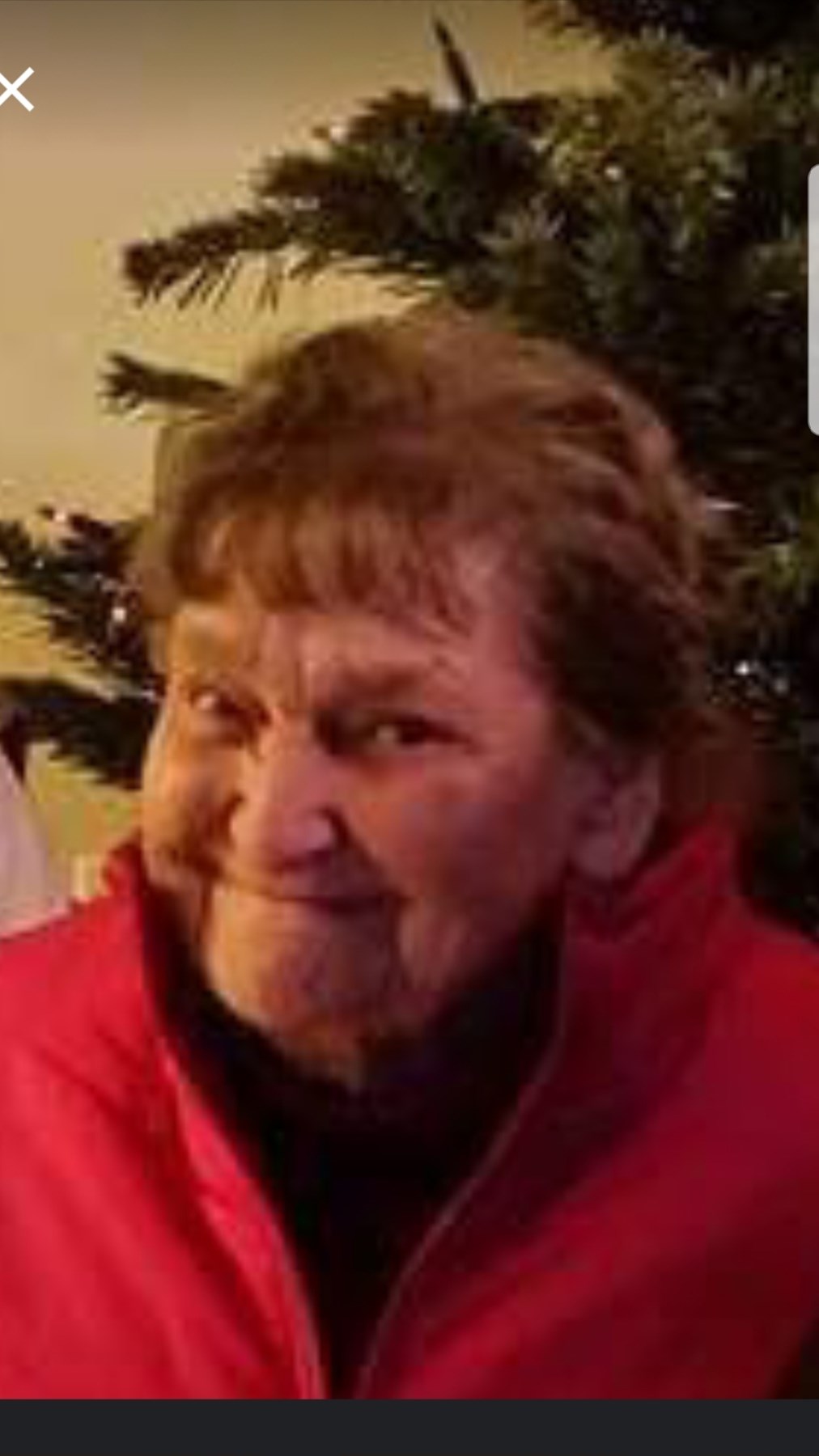 Obituario de Joyce Lee Harris