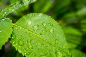 Obituario de Andres A Gallegos