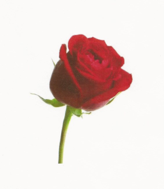 Obituary of Paul Wayne Maddox