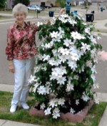 Mary Mayhan