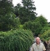 Obituary of Steven L. Newman