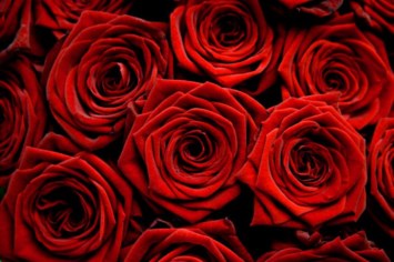 Obituary of Marie Constance Gealy