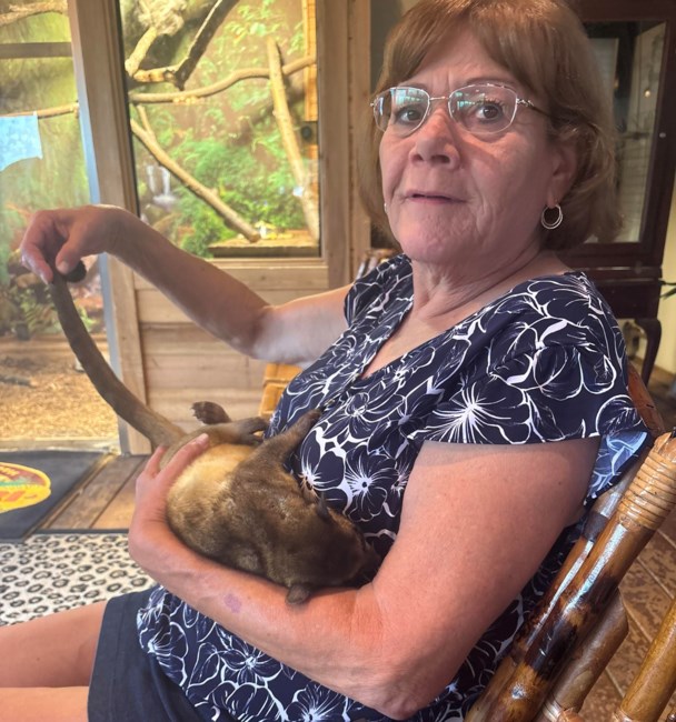 Obituary of Mary Ellen Tandaric