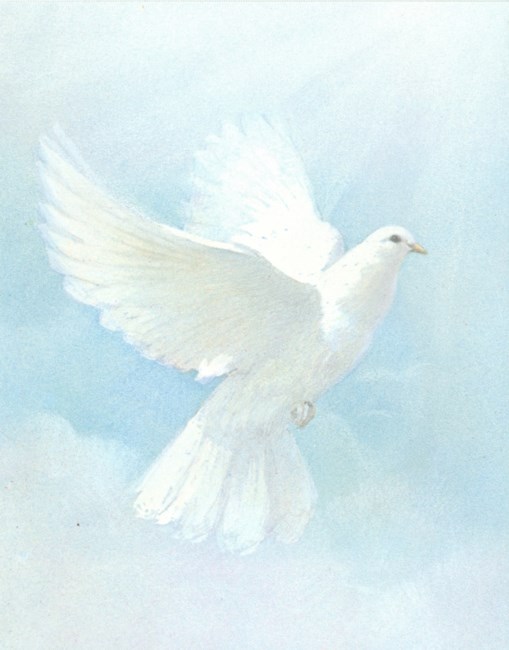 Obituary of Elisa Blauvelt