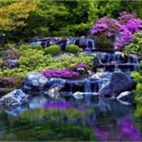 Obituary of Vera Ruth Bodle