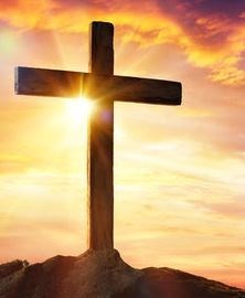 Obituary of Timothy Meyer