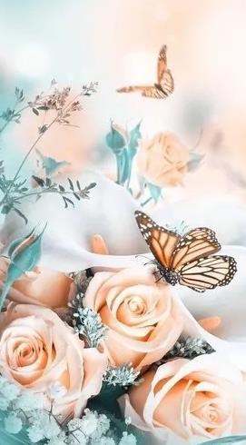 Obituary of Melissa De La Cruz Medrano