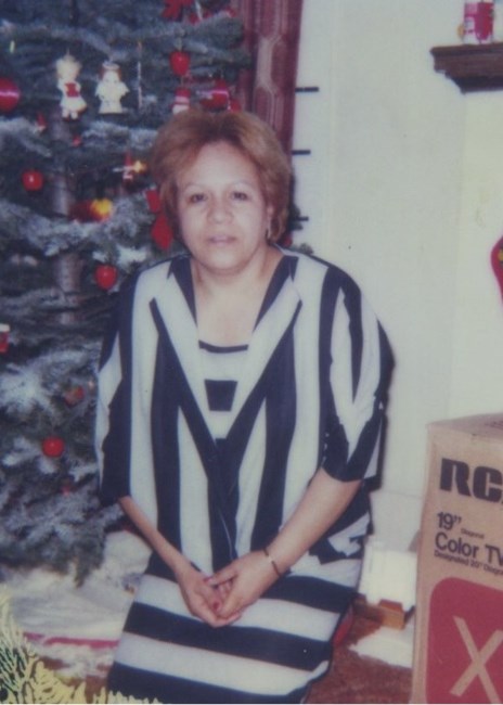 Obituary of Sylvia Cruz Holguin
