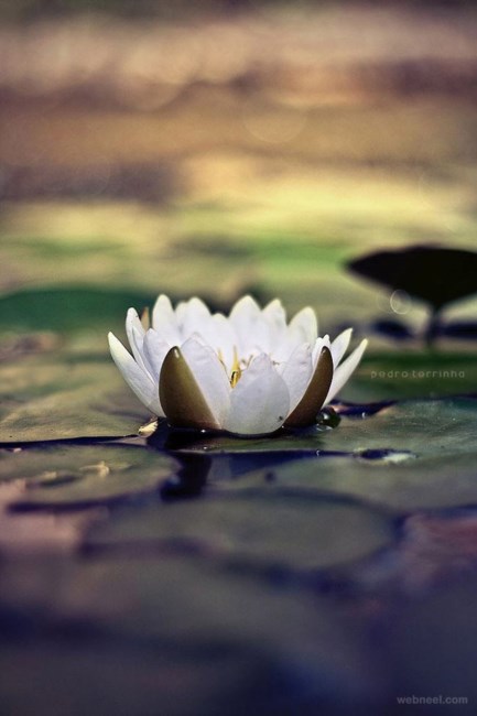 Obituary of James Frederick Anderson