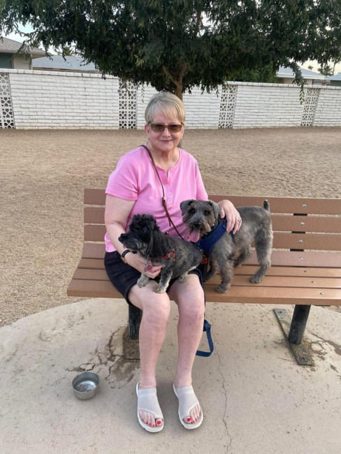 Obituary of Anita Faye Cothern Austin