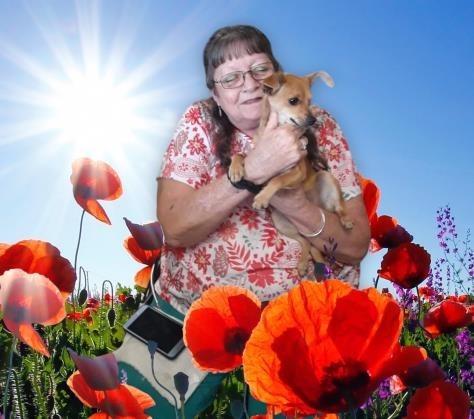 Obituary of Marilyn Joyce Arwood