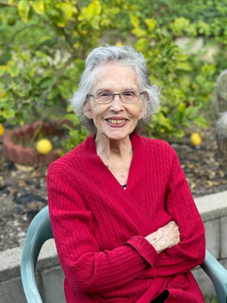 Obituary of Diane McLaren