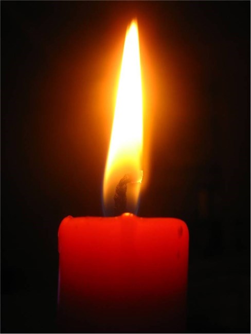 Obituary of Carol L. Wiemann