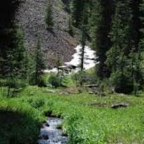 Obituary of Dorothy Mable Gregory