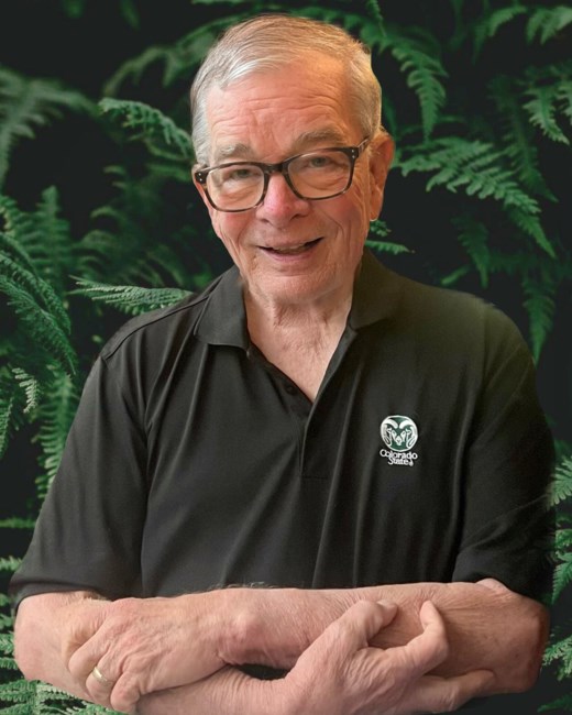 Obituary of David L. Sutherland