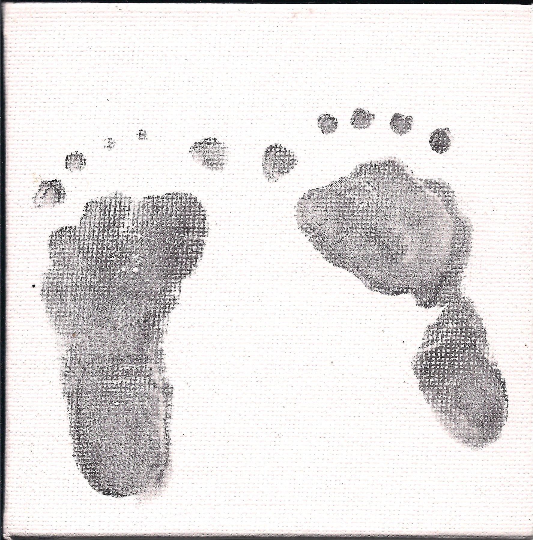 Obituary of Neilan James Sullivan