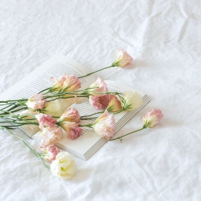 Obituary of Blanca Rosa Aguilar Pardinas