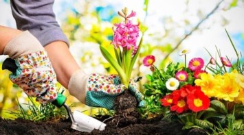 Obituary of Lillian Eva Robinson