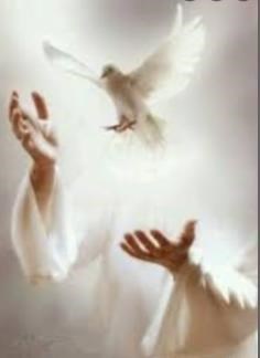 Obituary of Maria I. De Leon De Ramirez