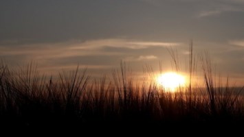 Obituary of James "Jim" Ryan Gleaton