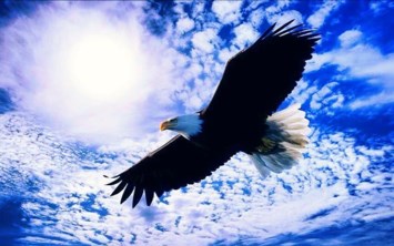 Obituary of Nancy Ella Fay Tucker (McCaleb)