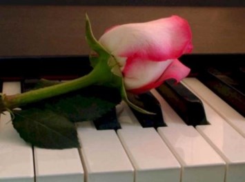 Obituary of Deby Frances Burnette