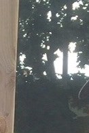 Logan Timothy Harvey Obituary Dalhousie, NB