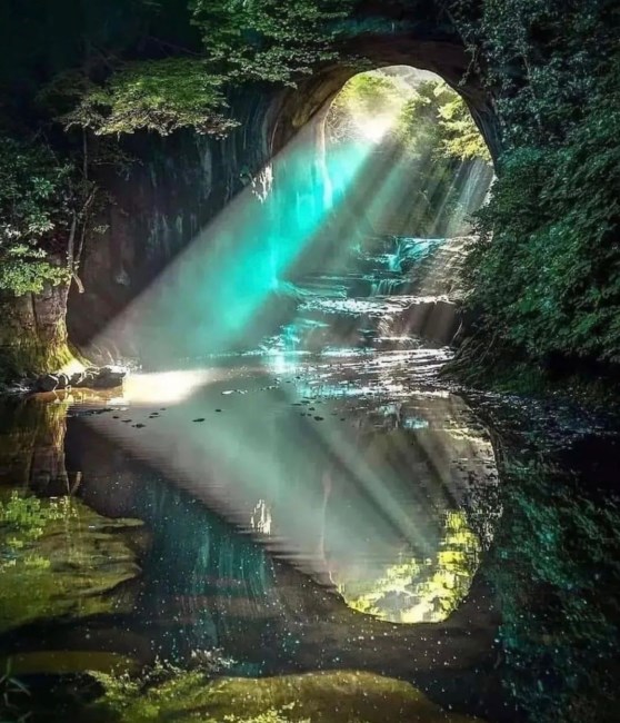 Obituary of Fan Wing Paul Tsang