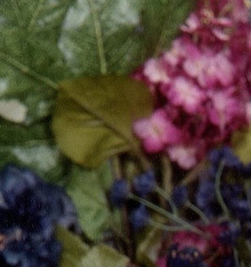 Margaret Holleran Obituary Pittsburgh, PA